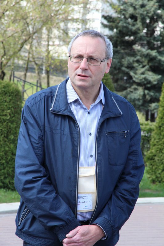 Борщевский Андрей Яковлевич, д.х.н., профессор химического факультета МГУ, куратор секции "Физическая химия"